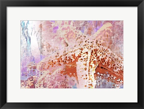 Framed Starfish 2 Print