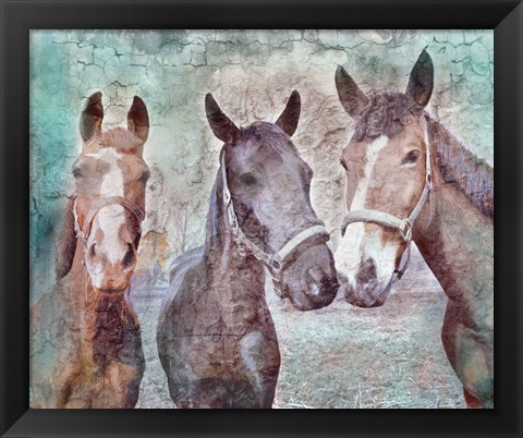 Framed 3 horses Print