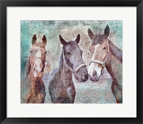 Framed 3 horses Print