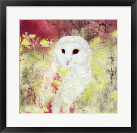 Framed Owl Time Print