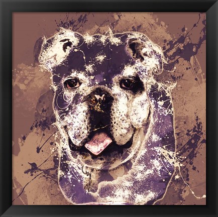 Framed Bulldog Print