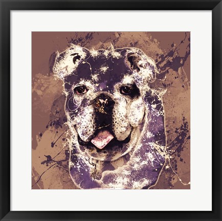 Framed Bulldog Print