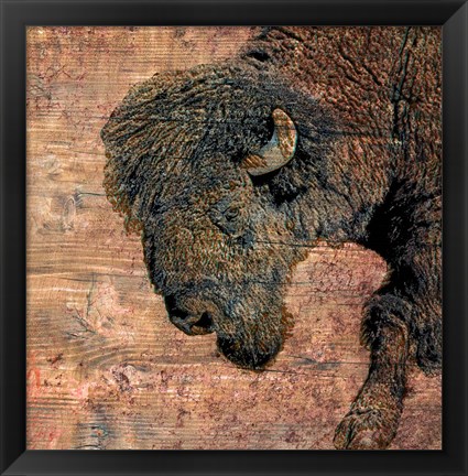 Framed Bison Print