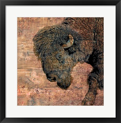 Framed Bison Print