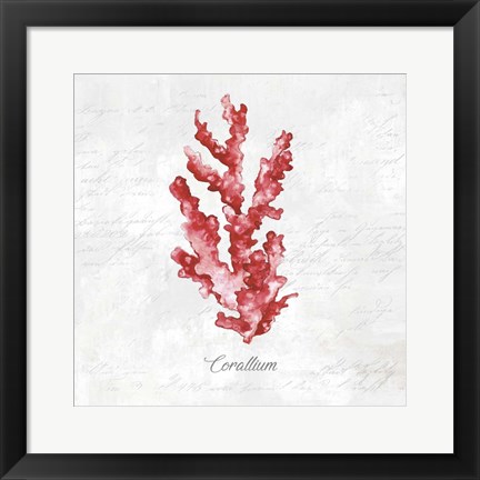 Framed Red Sea Coral Print