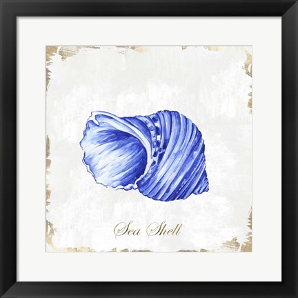 Framed Blue Seashell Print