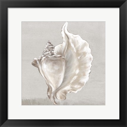 Framed Neutral Shells III Print