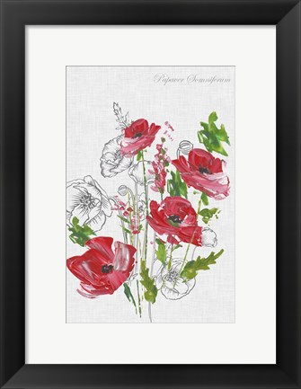 Framed Botanical Poppies Print