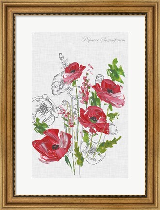 Framed Botanical Poppies Print