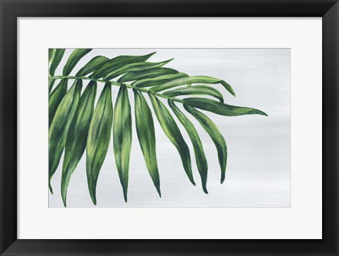 Framed Tropical Leaf I Print