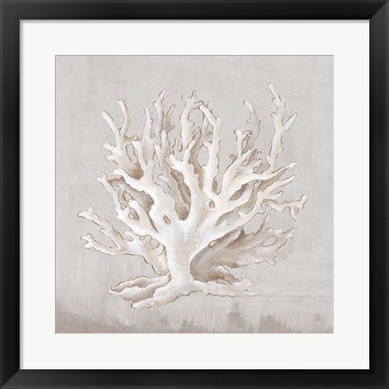 Framed Neutral Shells IV Print