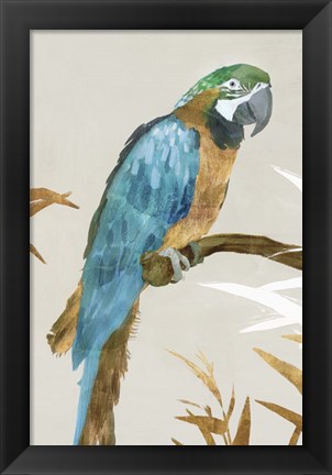 Framed Blue Parrot I Print