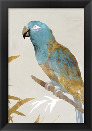 Framed Blue Parrot II Print