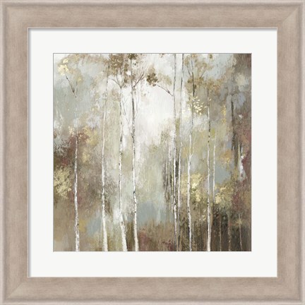 Framed Fine Birch I Print