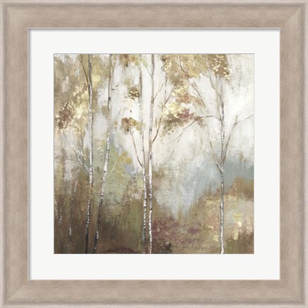 Framed Fine Birch II Print