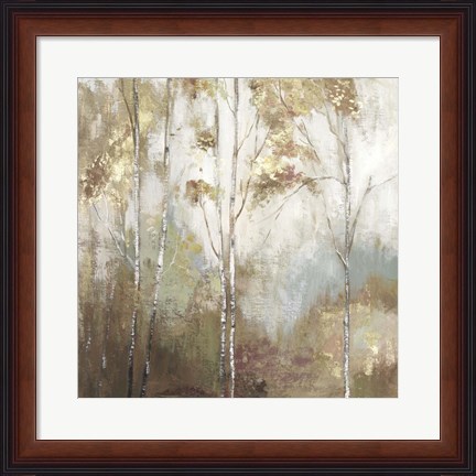 Framed Fine Birch II Print