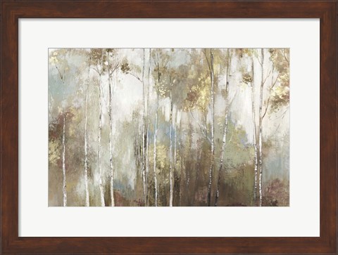 Framed Fine Birch III Print