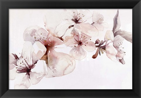 Framed Watercolor Blossoms I Print