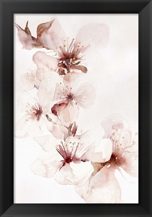 Framed Watercolor Blossoms II Print