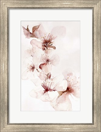 Framed Watercolor Blossoms II Print