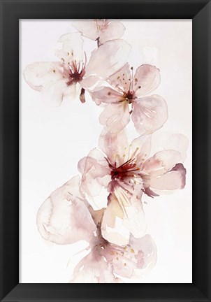 Framed Watercolor Blossoms III Print