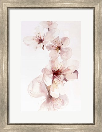 Framed Watercolor Blossoms III Print
