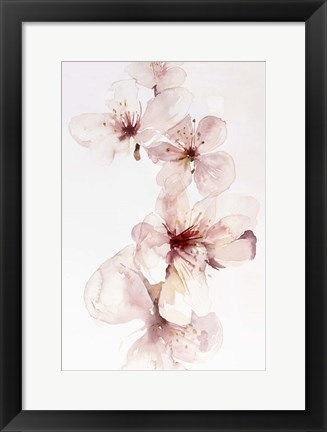 Framed Watercolor Blossoms III Print