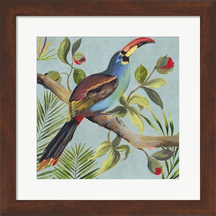 Framed Paradise Toucan I Print