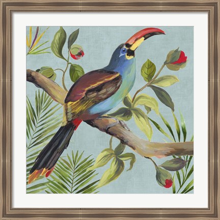 Framed Paradise Toucan I Print