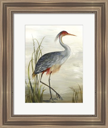 Framed Grey Heron Print