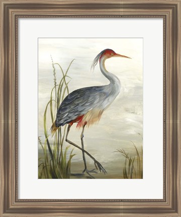 Framed Grey Heron Print