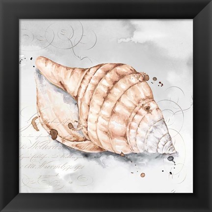 Framed Blush Shell I Print