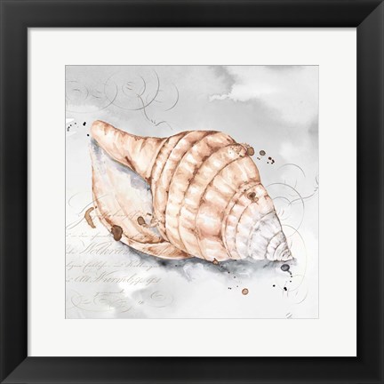 Framed Blush Shell I Print