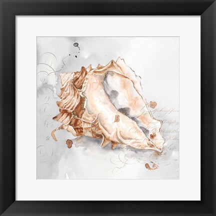 Framed Blush Shell III Print