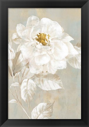 Framed White Rose I Print