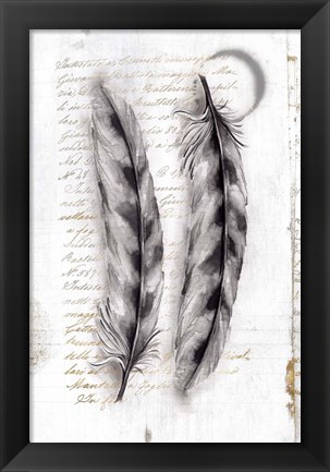 Framed Vintage Feathers I Print