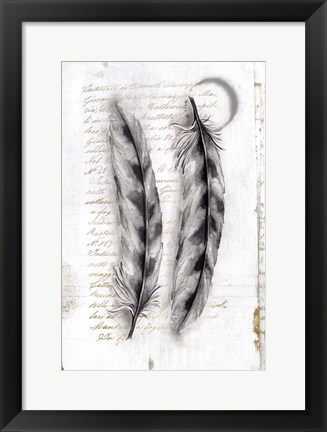 Framed Vintage Feathers I Print