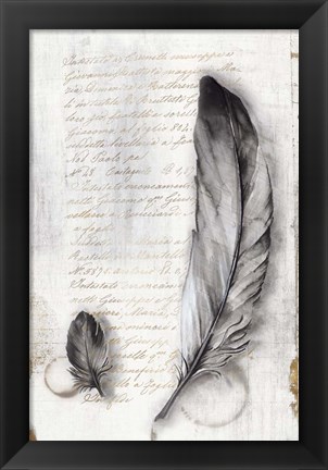 Framed Vintage Feathers II Print