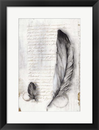 Framed Vintage Feathers II Print