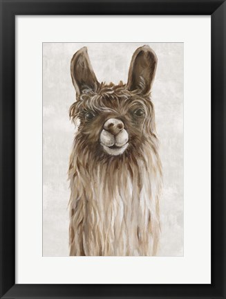 Framed Suri Alpaca I Print