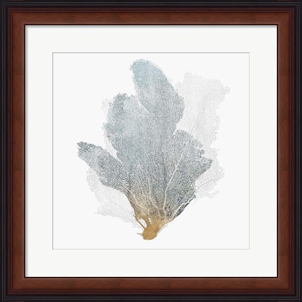 Framed Delicate Coral II Print