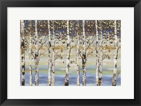 Framed Dark Birch III Print