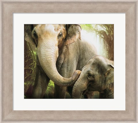 Framed Tender Giants Print