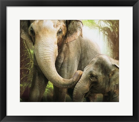 Framed Tender Giants Print