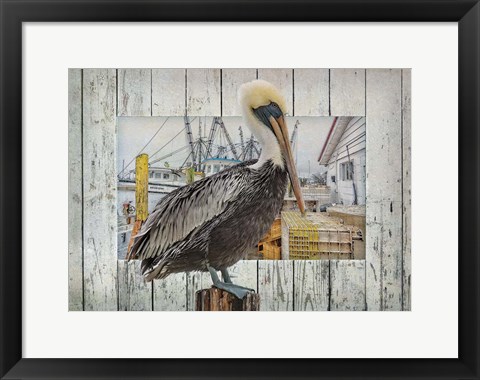 Framed Pelican Pride Print