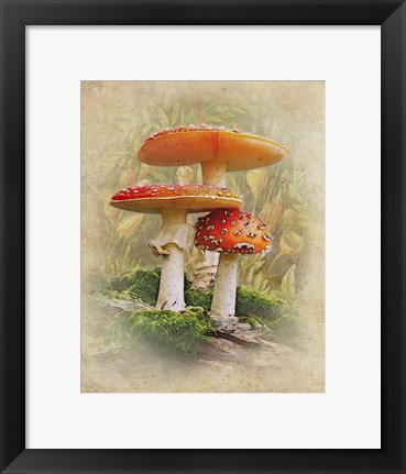 Framed Standing Tall Print