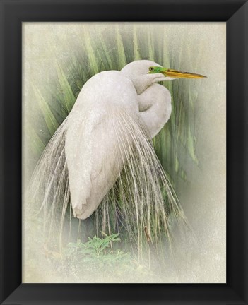 Framed Vintage Egret Print