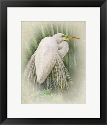 Framed Vintage Egret Print