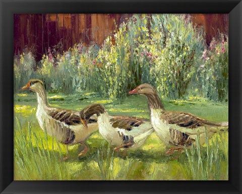 Framed Feathered Trio Print