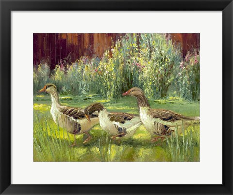 Framed Feathered Trio Print